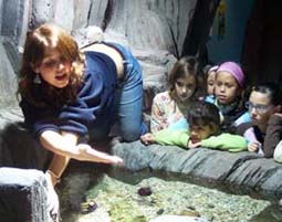 20061129220758-acuario7.jpg