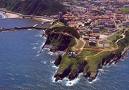 20070429195330-images.jpg